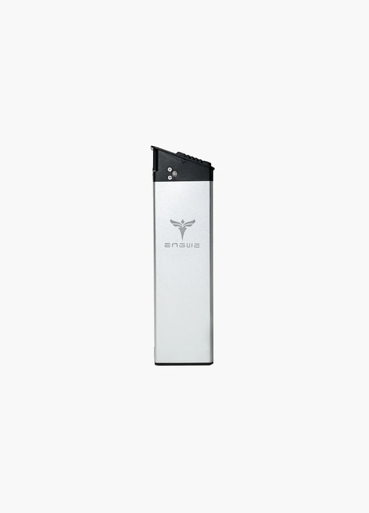 Cyclezap EP-2 Pro Battery